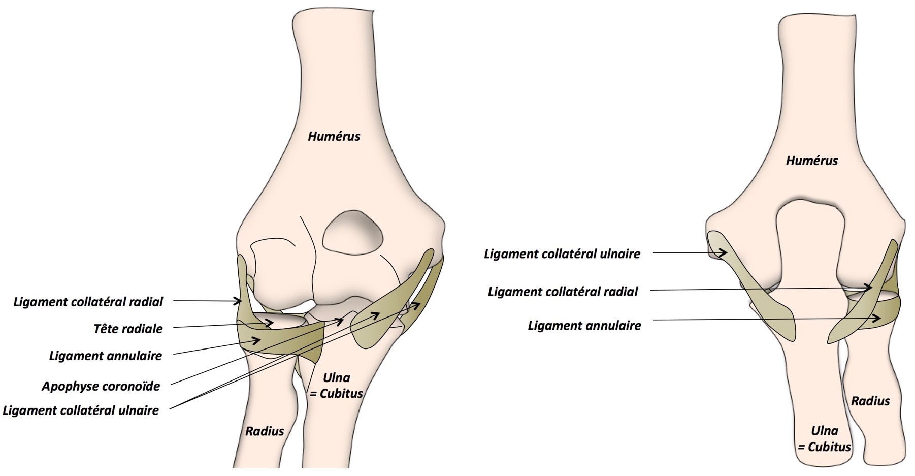 injecții în tratamentul artrozei și artritei