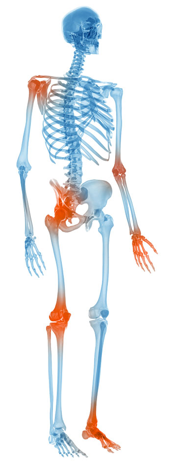 Praticiens Clinique Ostéo Articulaire des Cèdres